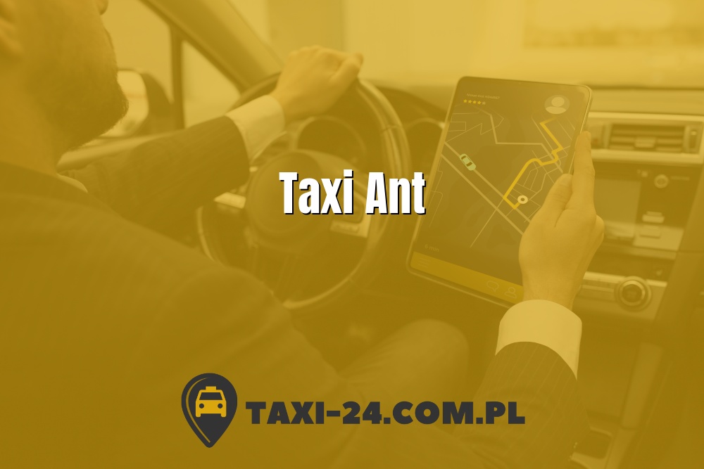 Taxi Ant www.taxi-24.com.pl