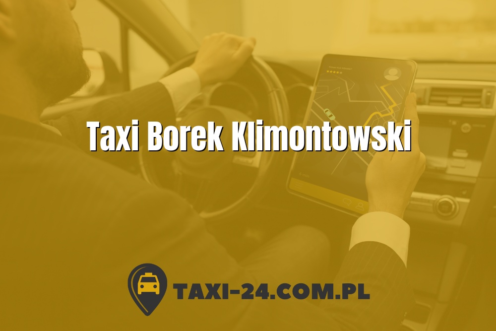 Taxi Borek Klimontowski www.taxi-24.com.pl