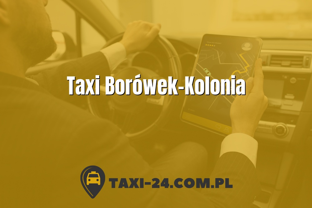 Taxi Borówek-Kolonia www.taxi-24.com.pl