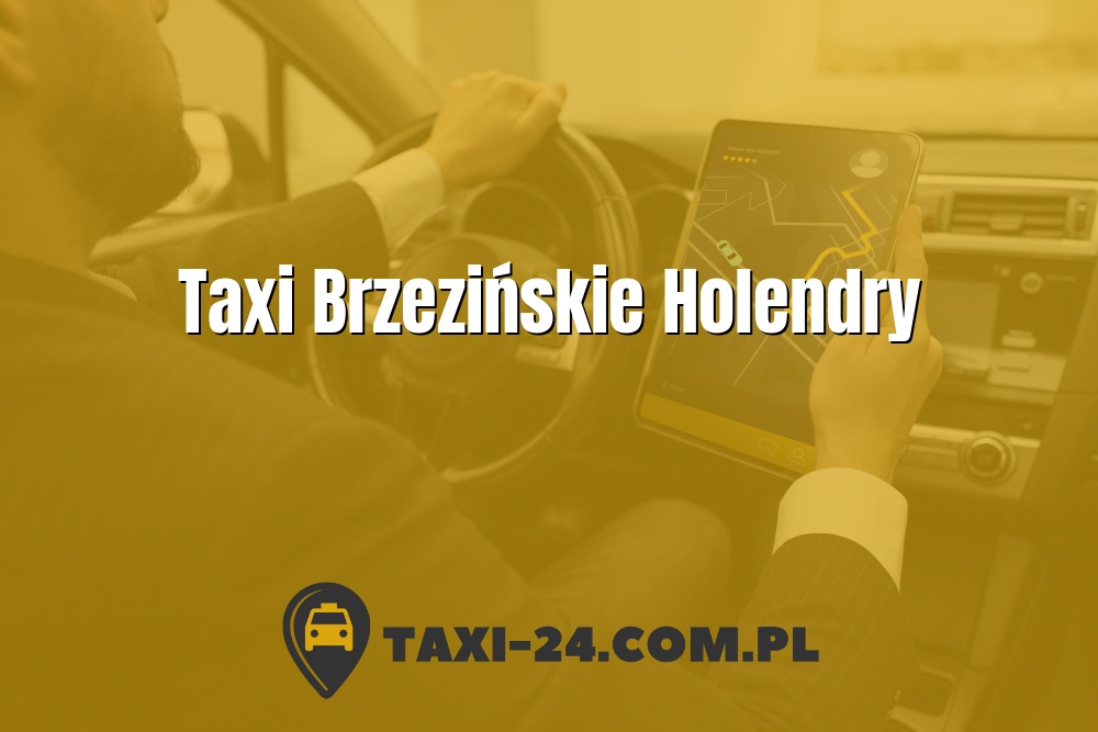 Taxi Brzezińskie Holendry www.taxi-24.com.pl