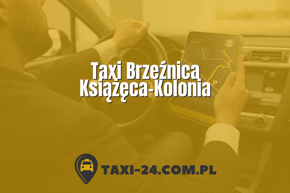 Taxi Brzeźnica Książęca-Kolonia www.taxi-24.com.pl