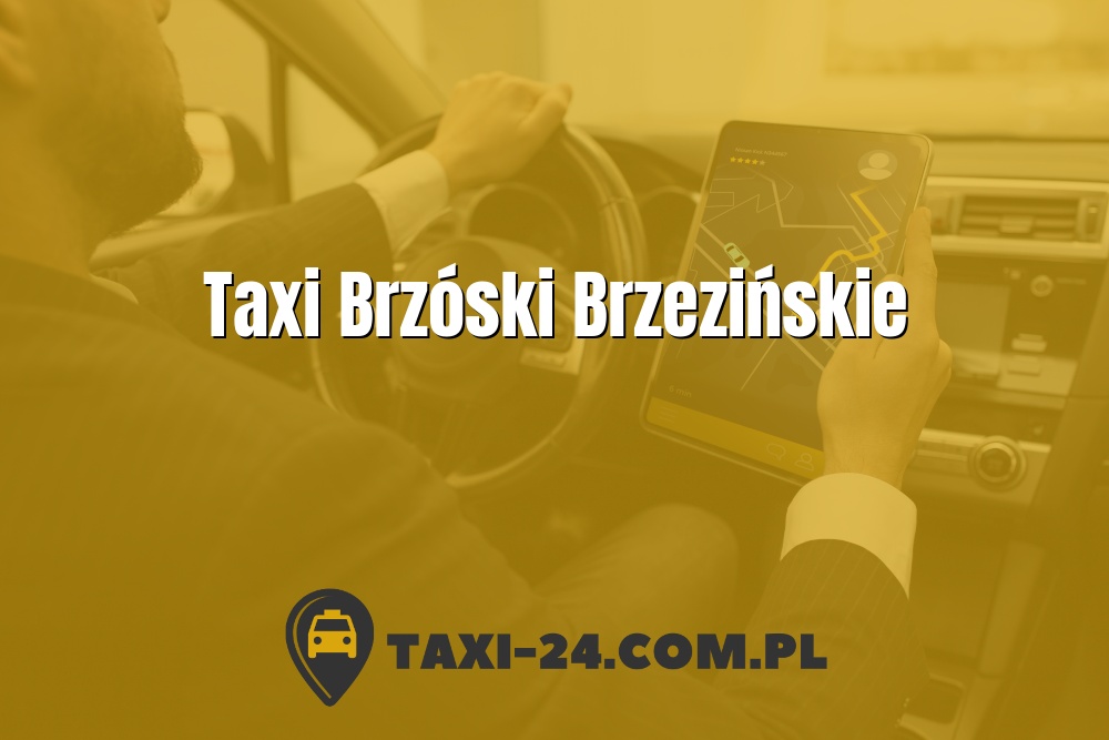 Taxi Brzóski Brzezińskie www.taxi-24.com.pl