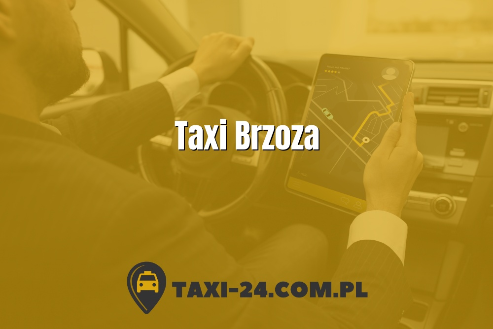 Taxi Brzoza www.taxi-24.com.pl