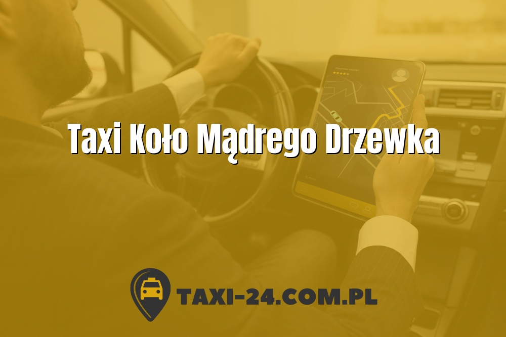 Taxi Koło Mądrego Drzewka www.taxi-24.com.pl