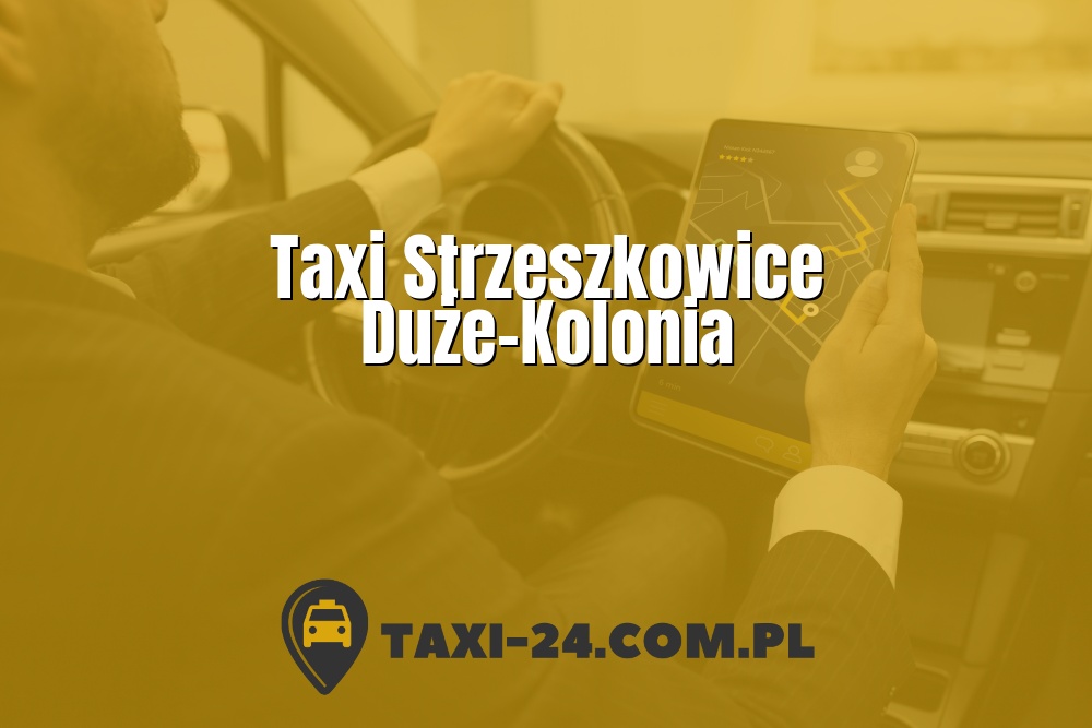 Taxi Strzeszkowice Duże-Kolonia www.taxi-24.com.pl